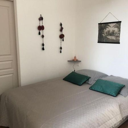 Bord De Tarn Appartement Albi Buitenkant foto