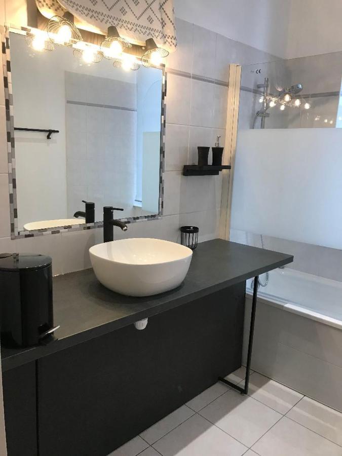 Bord De Tarn Appartement Albi Buitenkant foto