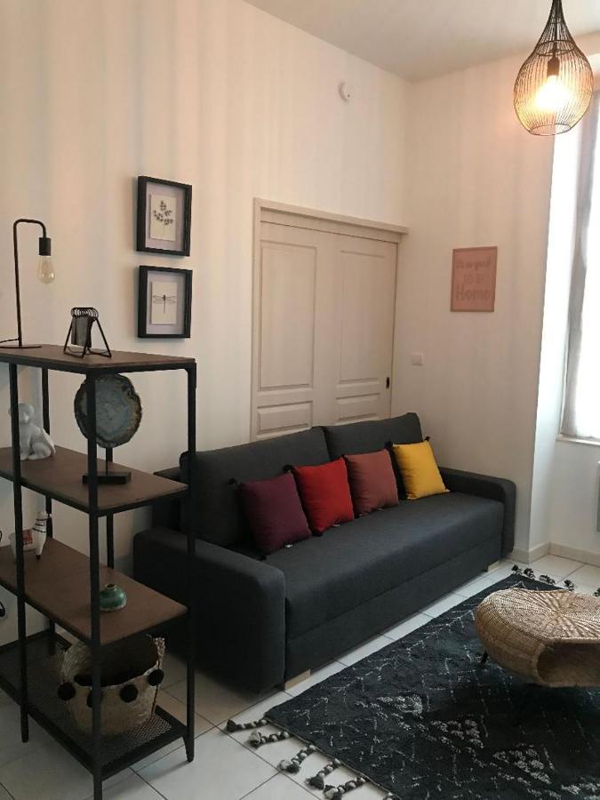 Bord De Tarn Appartement Albi Buitenkant foto